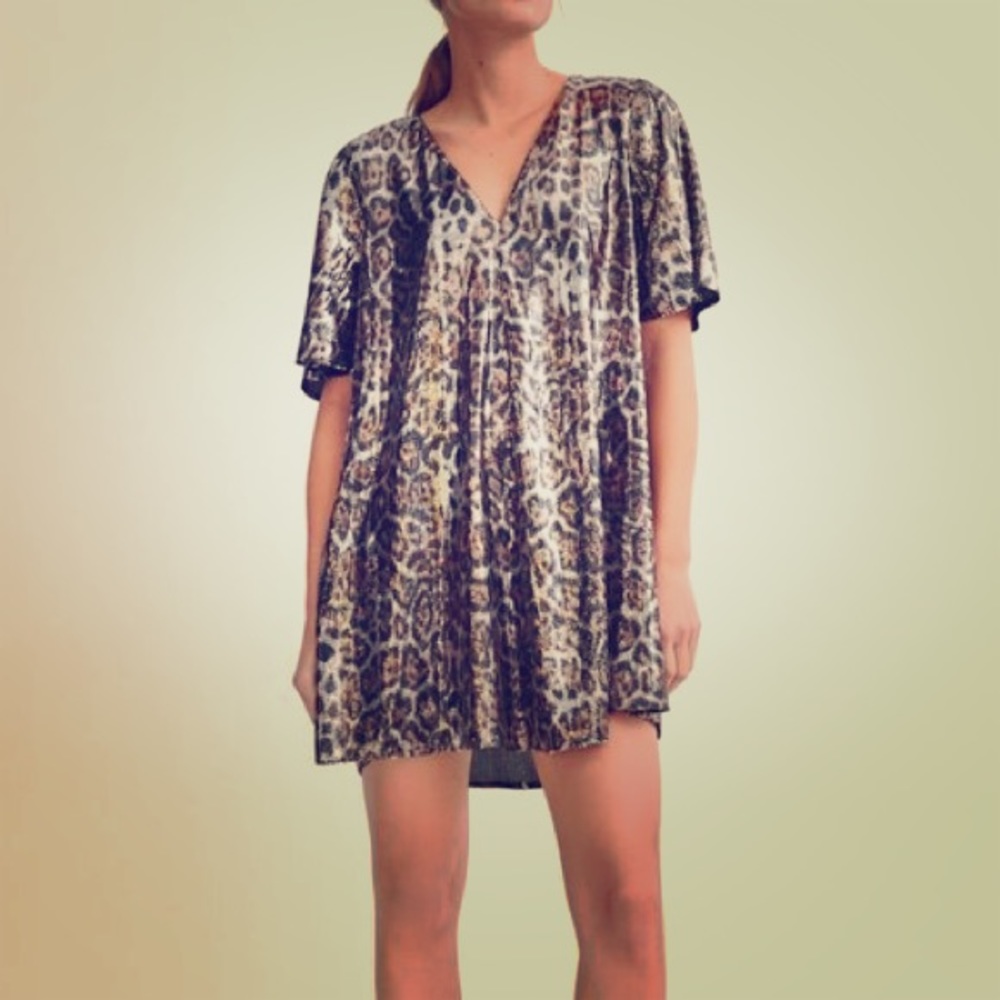 Zara dress